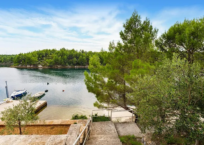 Appartement 1 Bedroom Cozy In